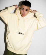 Load image into Gallery viewer, EMBROIDERY LOGO HALF ZIP HOODED SWEAT
